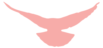 6f7a58695c5d5b8c410f6106242ad693.png