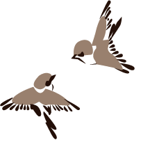 1O9N05