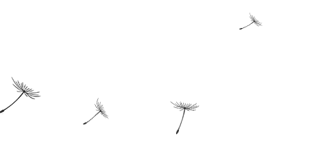 2CS1E1