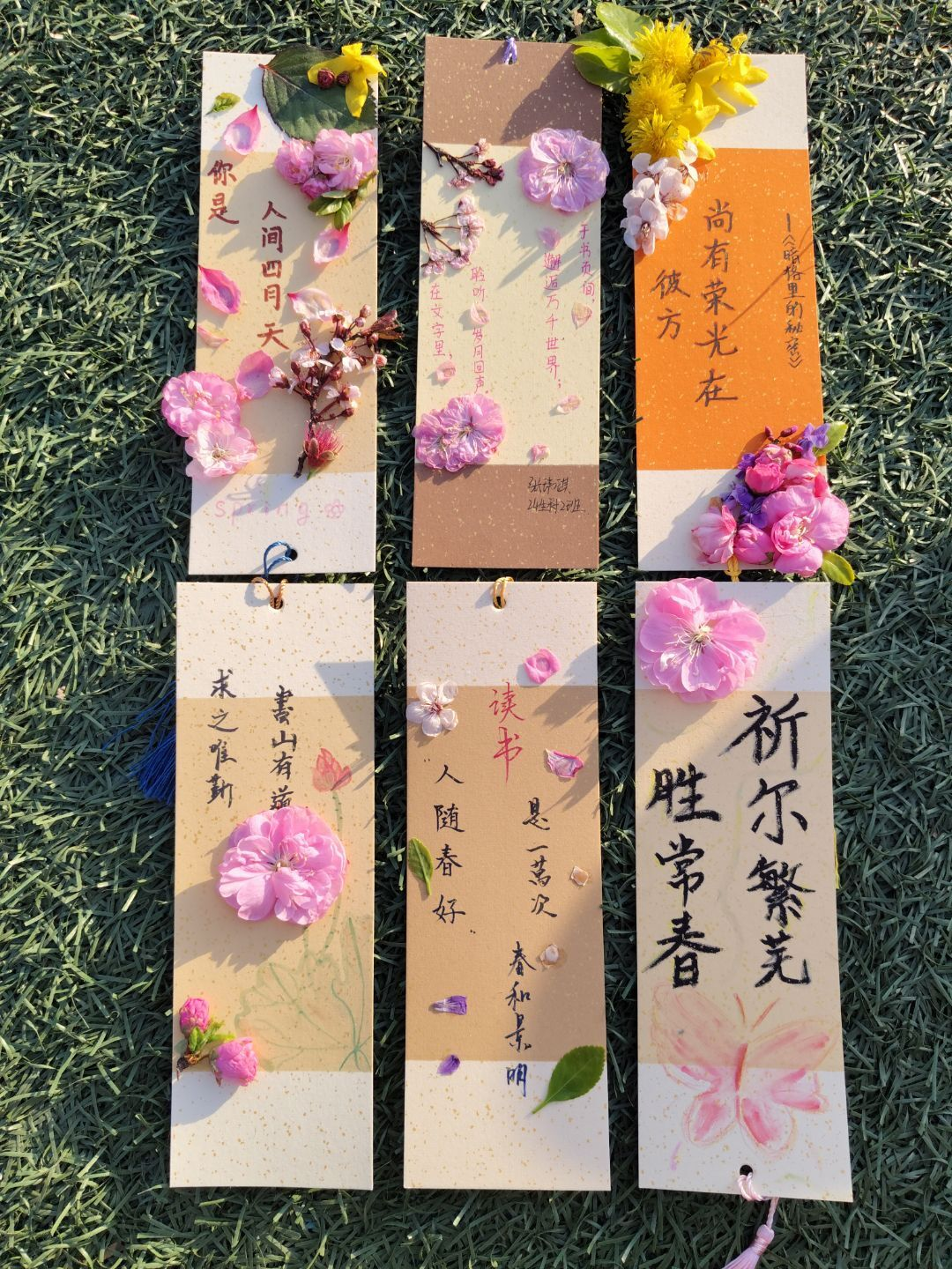 190446252421311163.png