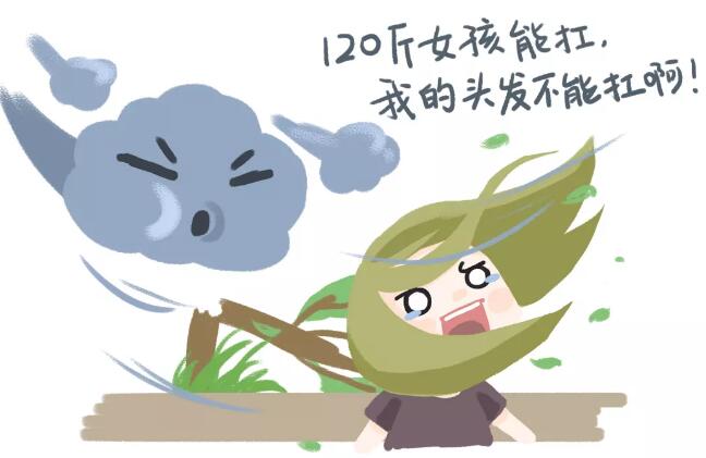 风级:大风