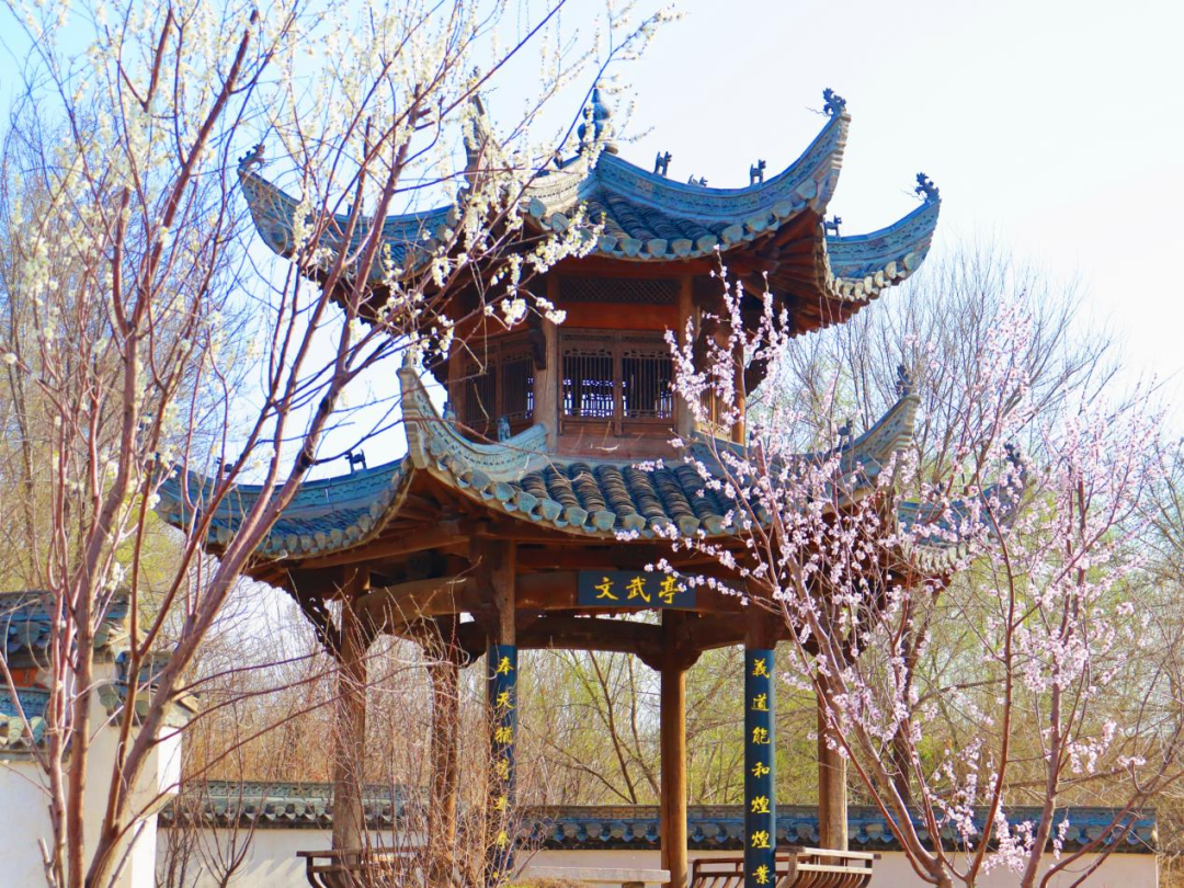 下的我们依旧努力学习》焦玮 数理力学部《八王书院的桃花》朱轩慧