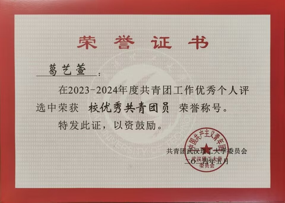 校优秀共青团员