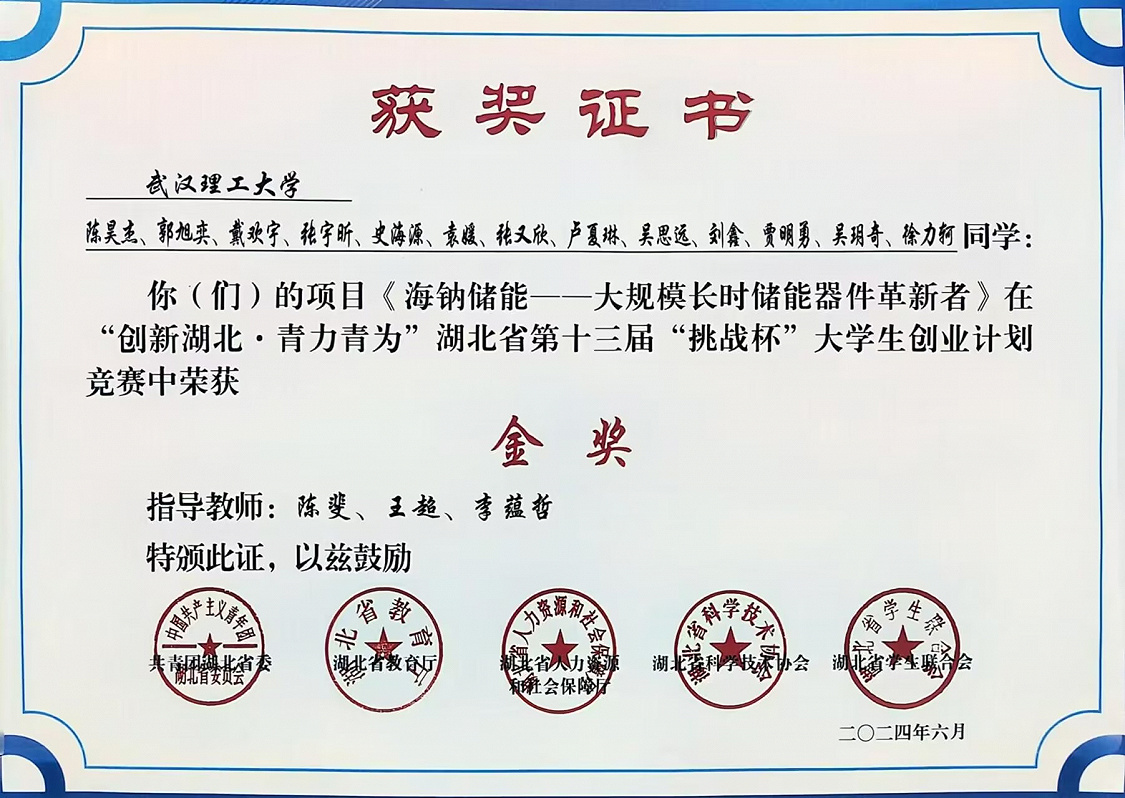 湖北省第十三届"挑战杯"中国大学生创业计划竞赛金奖