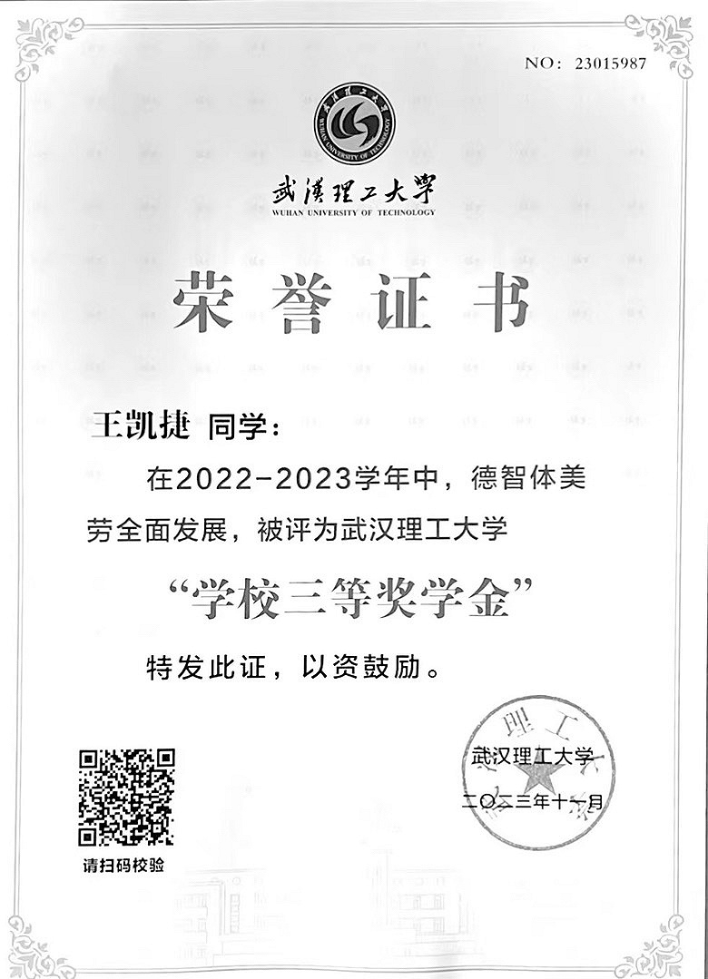 学校三等奖学金