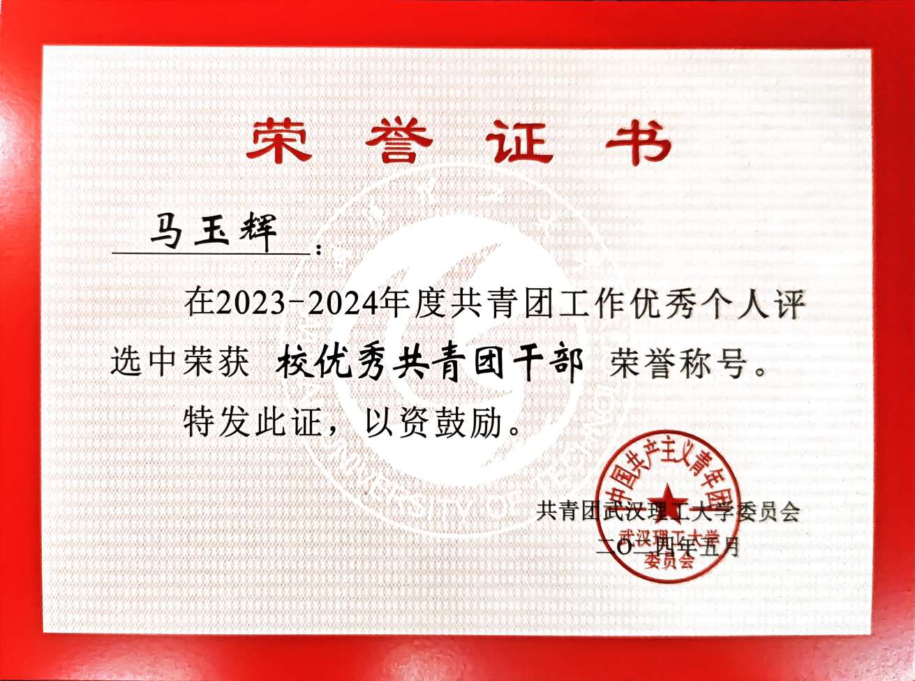 校优秀共青团干部