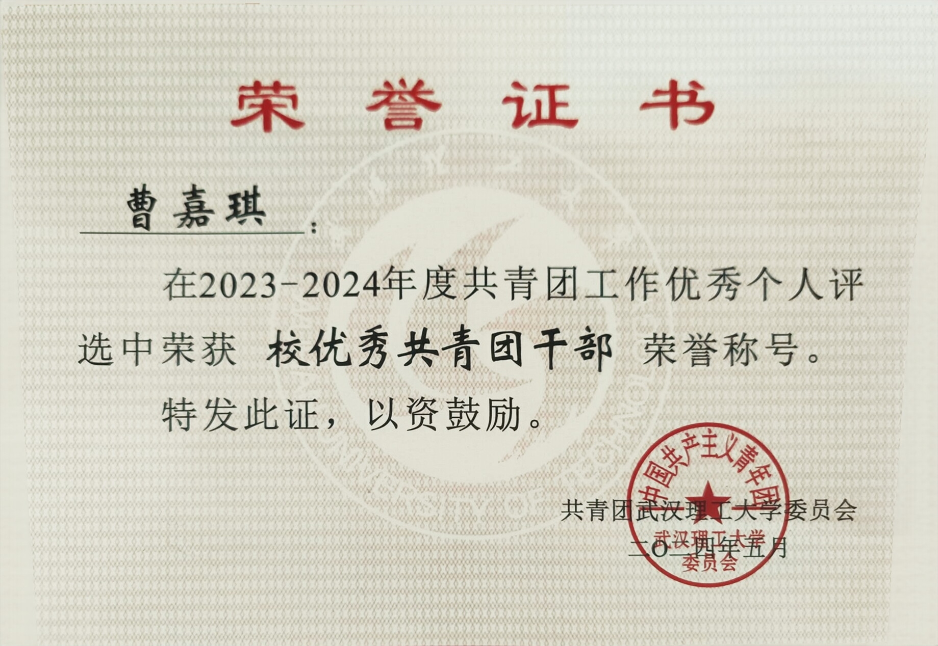 校优秀共青团干部